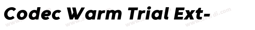 Codec Warm Trial Ext字体转换